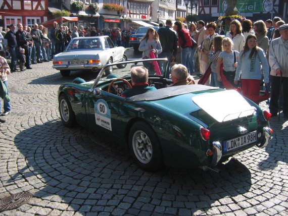 herborn classics-12