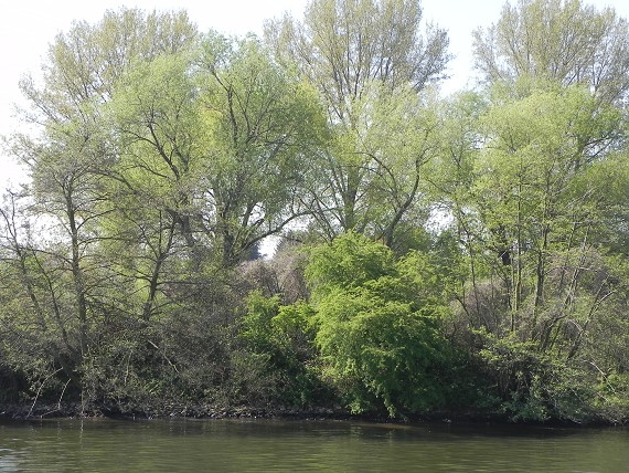 2010-04-24-022