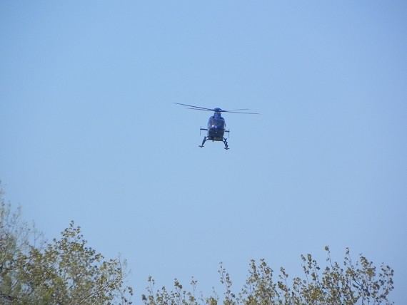 2010-04-24-039