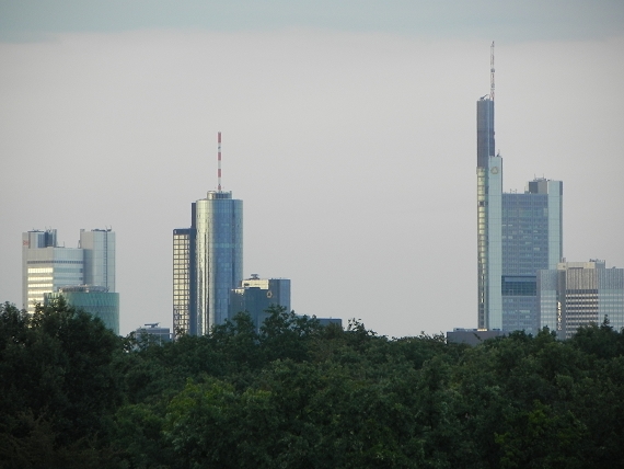 2011-07-25-01