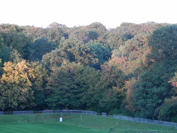2011-09-30-33