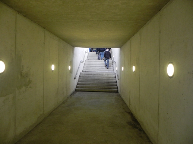 2012-11-24-08