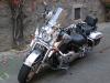 herborn classics-34