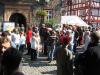 herborn classics-48
