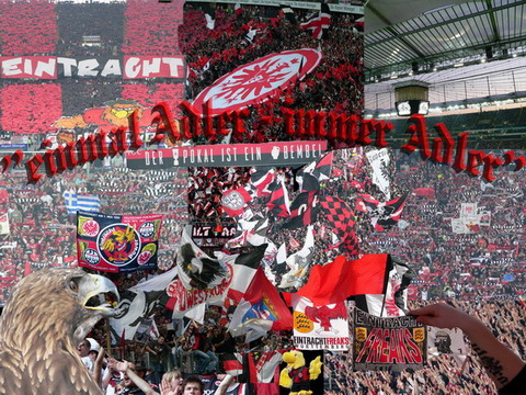 24 Wallpaper 480x360.jpg